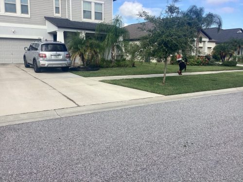 Lawn Services Brandon Fl 1475