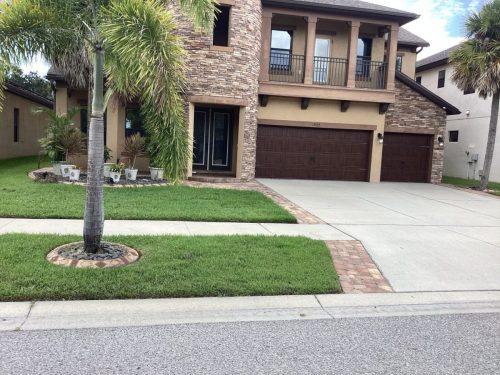 Lawn Services Brandon Fl 1476