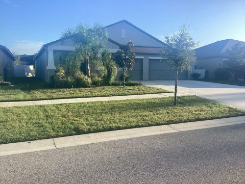 Lawn Services Brandon Fl 1477