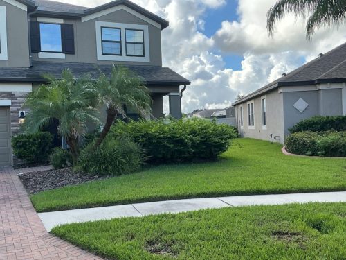 Lawn Services Brandon Fl 1478