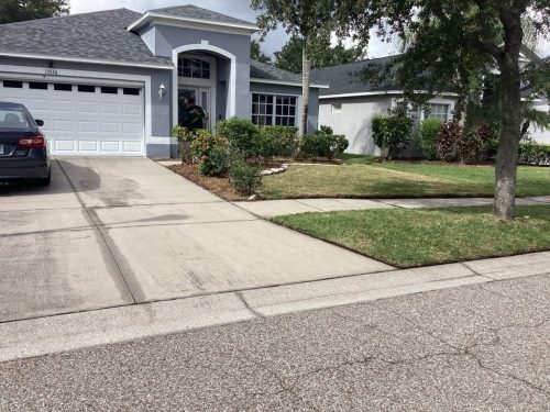 Lawn Services Brandon Fl 1479