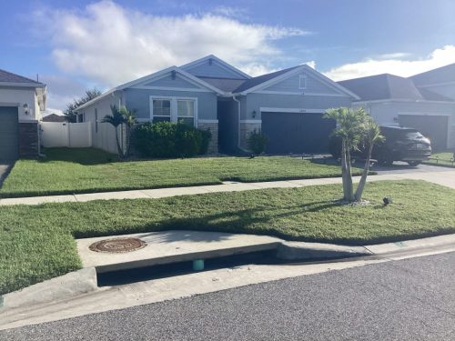 Lawn Services Brandon Fl 1481