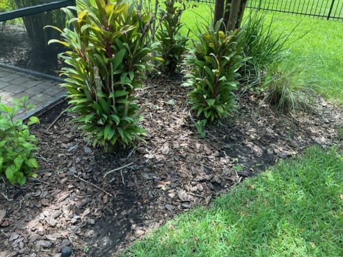Lawn Services Brandon Fl 1482