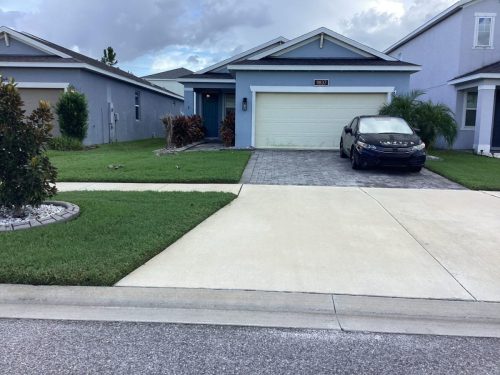 Lawn Services Brandon Fl 1484