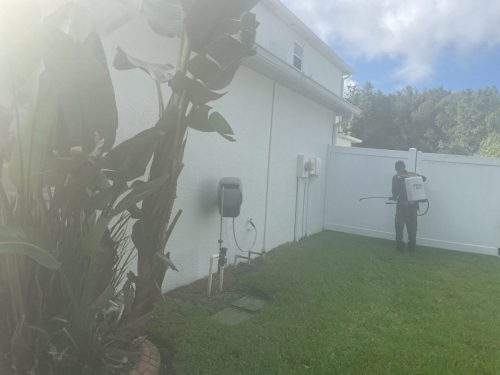 Lawn Services Brandon Fl 1485