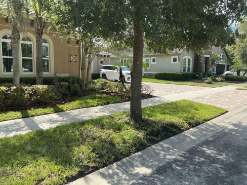 Lawn Services Brandon Fl 1486
