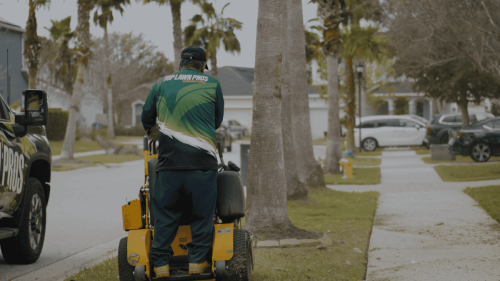 Lawn Services Brandon FL 15
