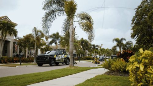 Lawn Services Brandon FL 152