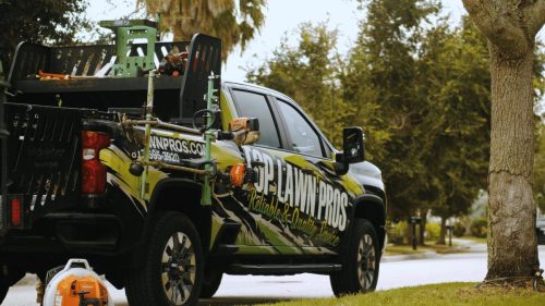 Lawn Services Brandon FL 156
