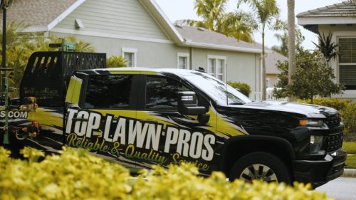 Lawn Services Brandon FL 158