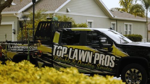 Lawn Services Brandon FL 159
