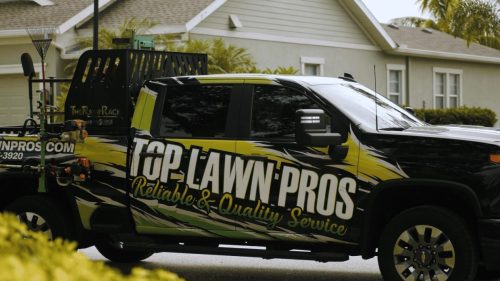 Lawn Services Brandon FL 160