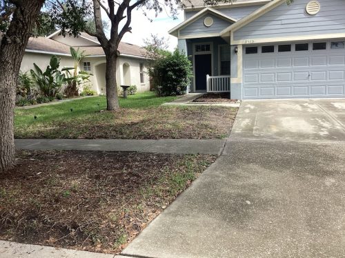 Lawn Services Brandon Fl 1624