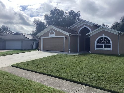 Lawn Services Brandon Fl 1628