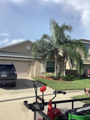 Lawn Services Brandon Fl 1631