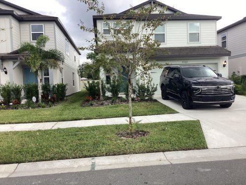 Lawn Services Brandon Fl 1635