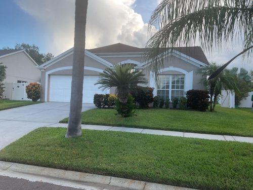 Lawn Services Brandon Fl 1642