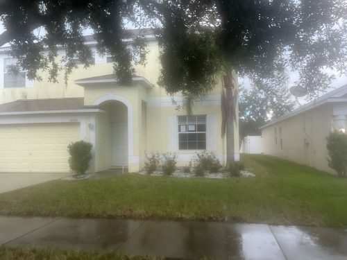 Lawn Services Brandon Fl 1643