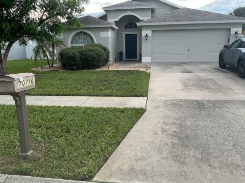Lawn Services Brandon Fl 1644