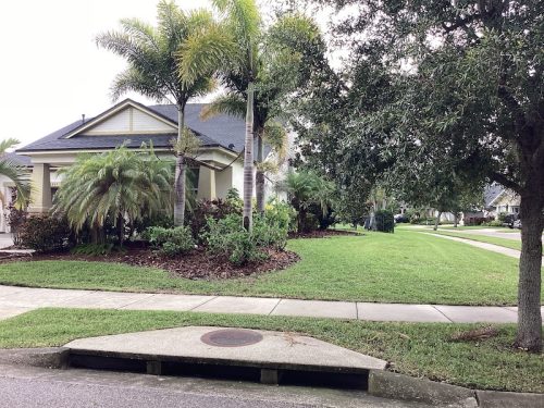 Lawn Services Brandon Fl 1645