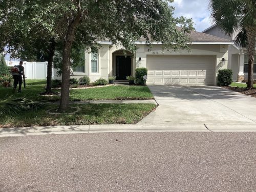 Lawn Services Brandon Fl 1646