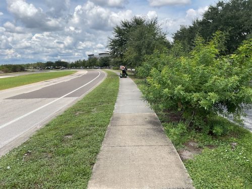 Lawn Services Brandon Fl 1647
