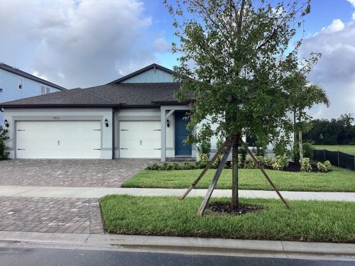Lawn Services Brandon Fl 1650