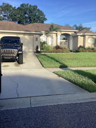 Lawn Services Brandon Fl 1654