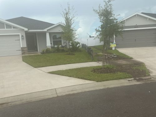 Lawn Services Brandon Fl 1655