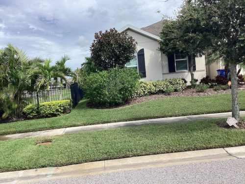 Lawn Services Brandon Fl 1657