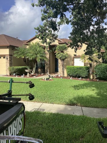 Lawn Services Brandon Fl 1659