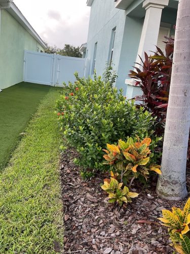Lawn Services Brandon Fl 1660