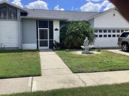 Lawn Services Brandon Fl 1664