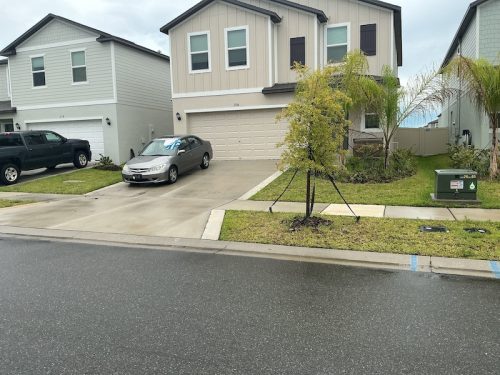 Lawn Services Brandon Fl 1667