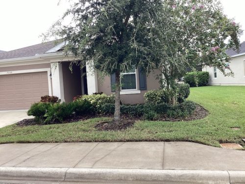 Lawn Services Brandon Fl 1668
