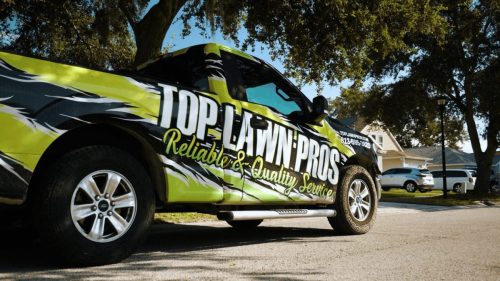 Lawn Services Brandon FL 167