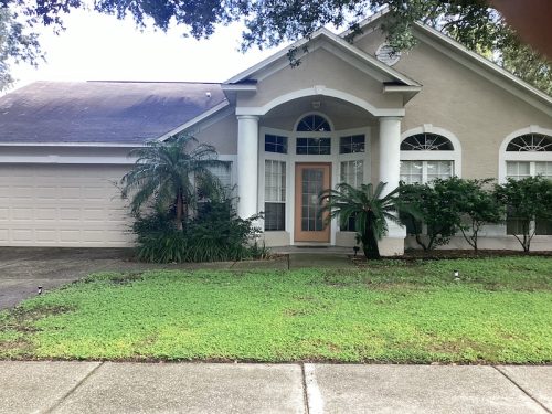 Lawn Services Brandon Fl 1674