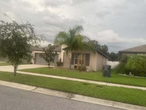Lawn Services Brandon Fl 1676