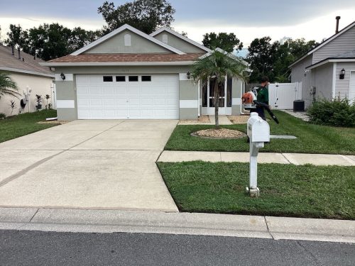 Lawn Services Brandon Fl 1677