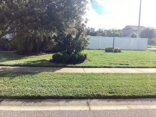 Lawn Services Brandon Fl 1678