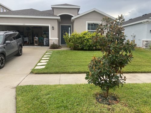 Lawn Services Brandon Fl 1681