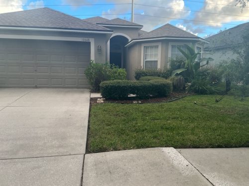 Lawn Services Brandon Fl 1684