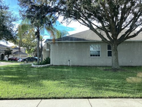 Lawn Services Brandon Fl 1686