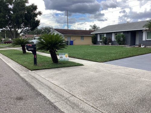 Lawn Services Brandon Fl 1688