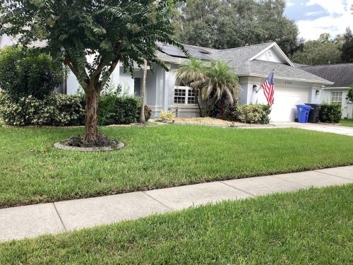 Lawn Services Brandon Fl 1689
