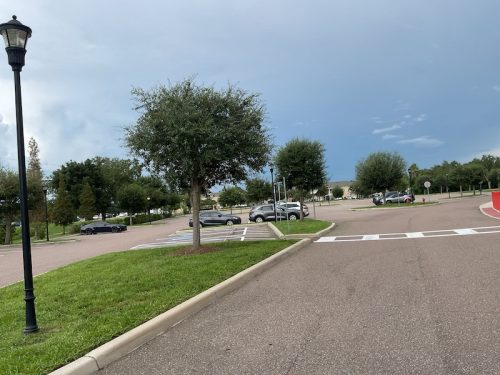Lawn Services Brandon Fl 1695