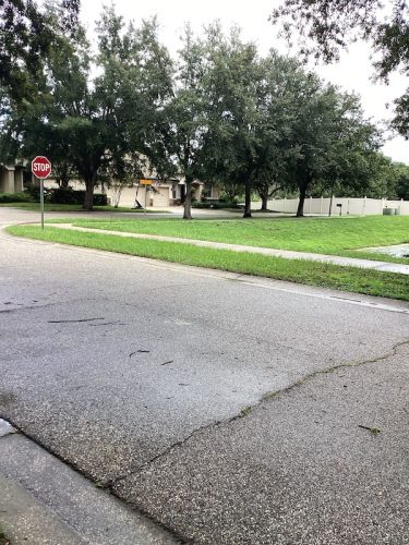 Lawn Services Brandon Fl 1697