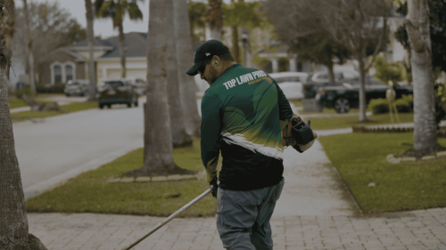Lawn Services Brandon FL 17