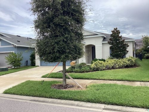 Lawn Services Brandon Fl 1703