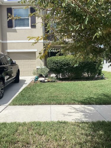 Lawn Services Brandon Fl 1704